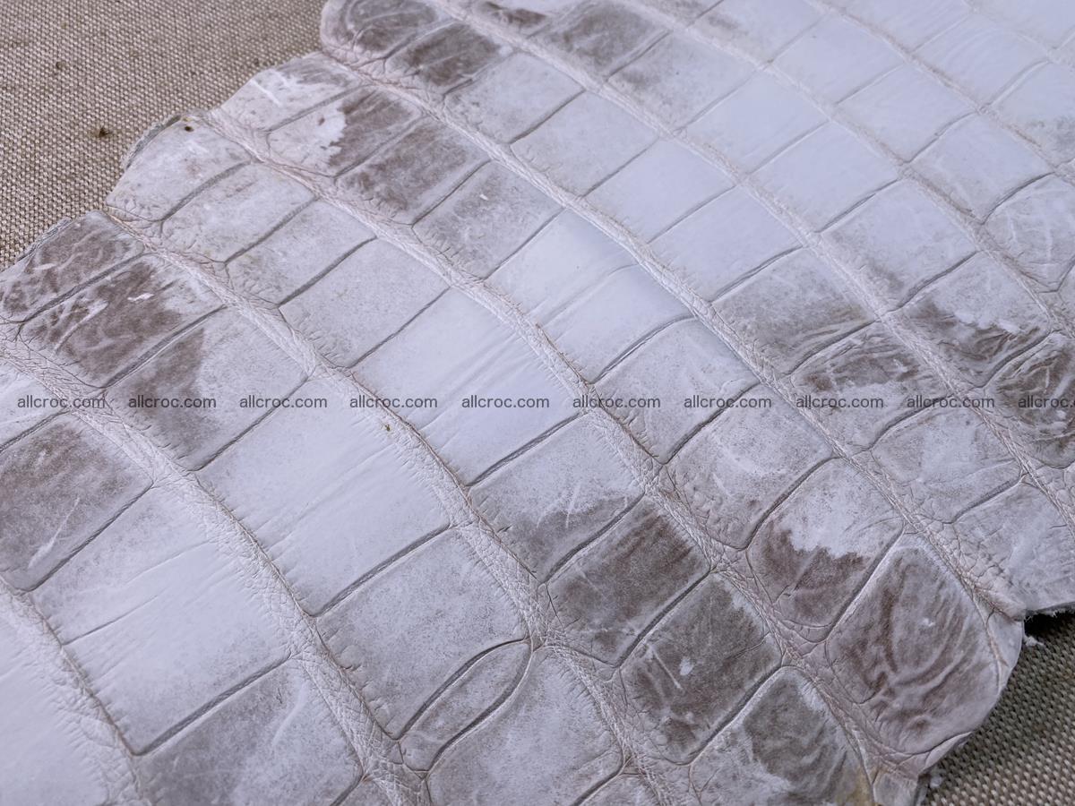 Crocodile skin belly part 57cm himalayan color 1478 Foto 10