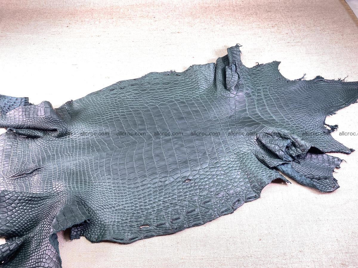 Crocodile skin belly part 37cm deep green color 1463 Foto 1