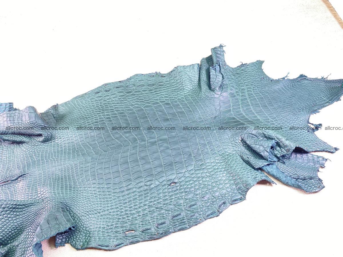 Crocodile skin belly part 37cm deep green color 1463 Foto 2