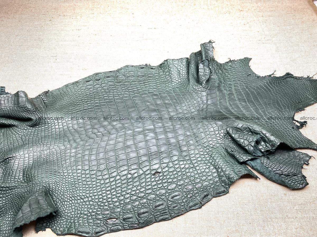 Crocodile skin belly part 37cm deep green color 1463 Foto 3