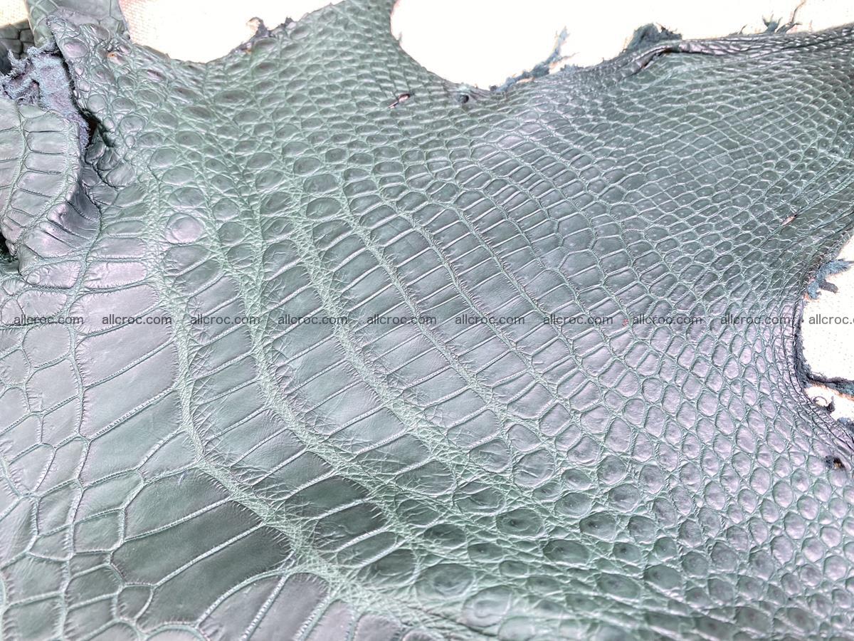 Crocodile skin belly part 37cm deep green color 1463 Foto 4