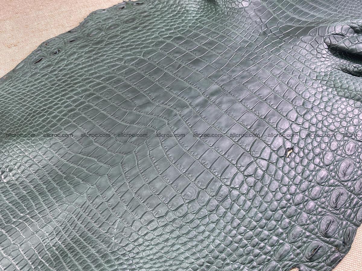 Crocodile skin belly part 37cm deep green color 1463 Foto 0