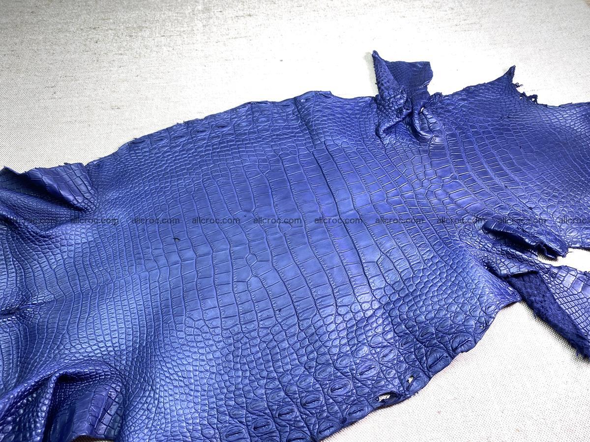 Crocodile skin belly part 35cm navy blue color 1460 Foto 1
