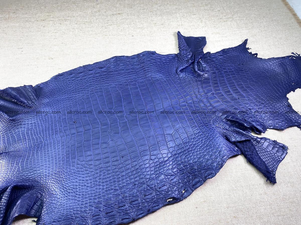 Crocodile skin belly part 35cm navy blue color 1460 Foto 2