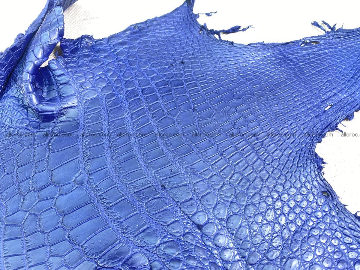 Crocodile skin belly part 35cm navy blue color 1460 Foto 3