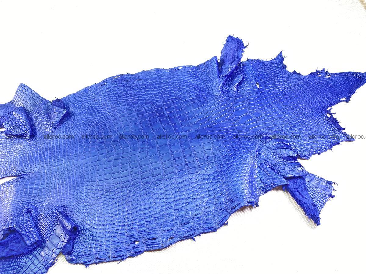 Crocodile skin belly part 36cm navy blue color 1461 Foto 1