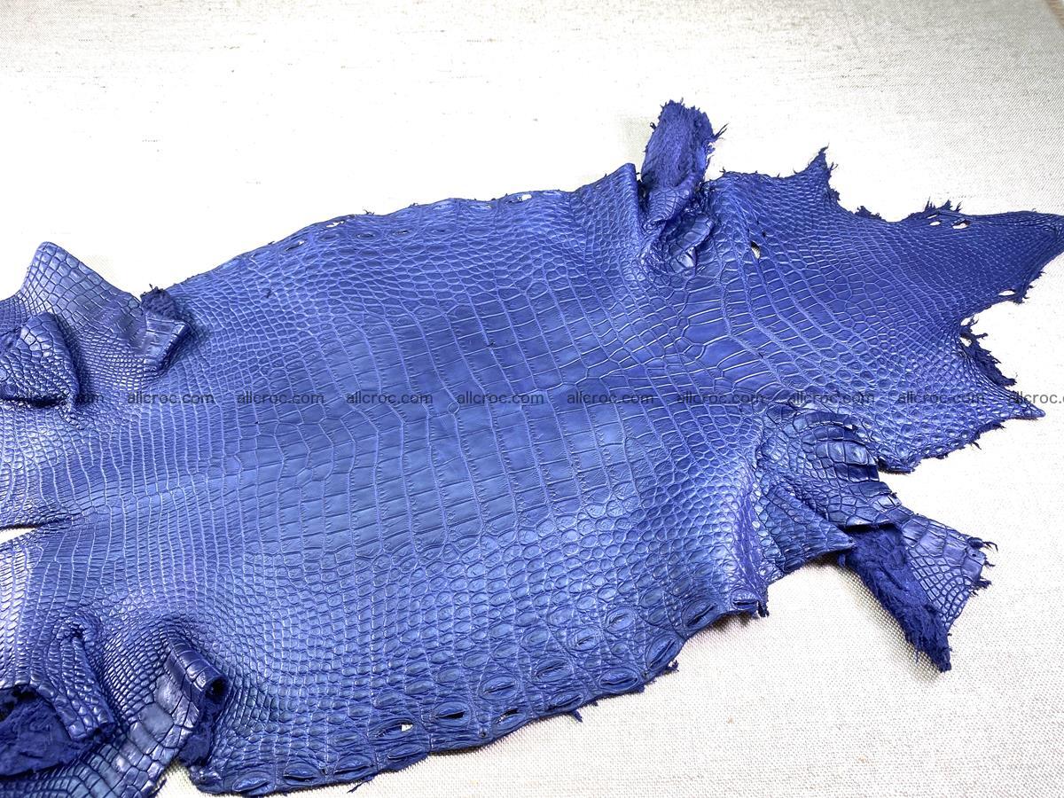 Crocodile skin belly part 36cm navy blue color 1461 Foto 4