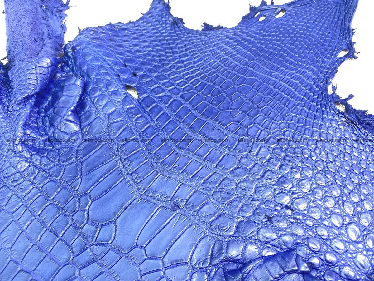 Crocodile skin belly part 36cm navy blue color 1461 Foto 2