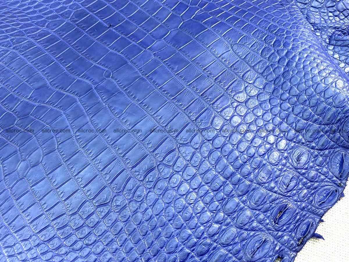 Crocodile skin belly part 36cm navy blue color 1461 Foto 6