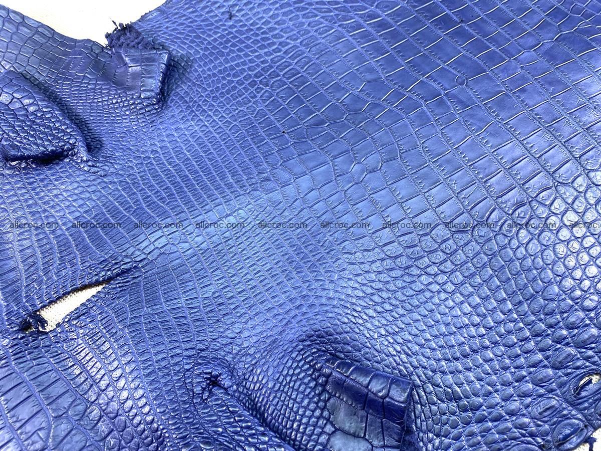 Crocodile skin belly part 36cm navy blue color 1461 Foto 11