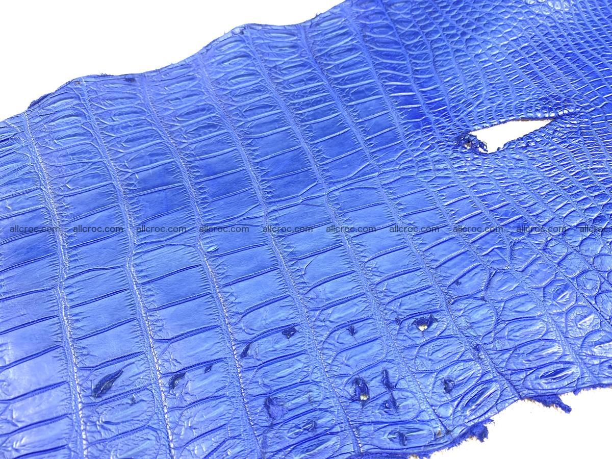 Crocodile skin belly part 36cm navy blue color 1461 Foto 8