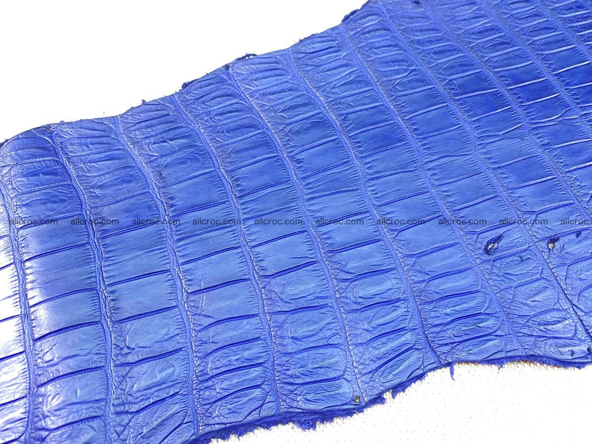 Crocodile skin belly part 36cm navy blue color 1461 Foto 7