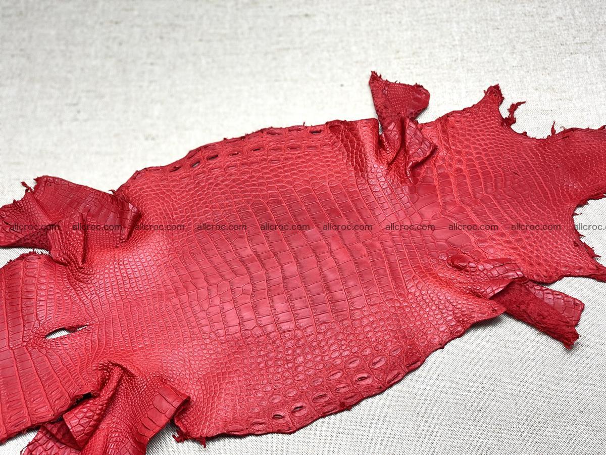 Crocodile skin belly part 30cm red ferrari color 1455 Foto 2