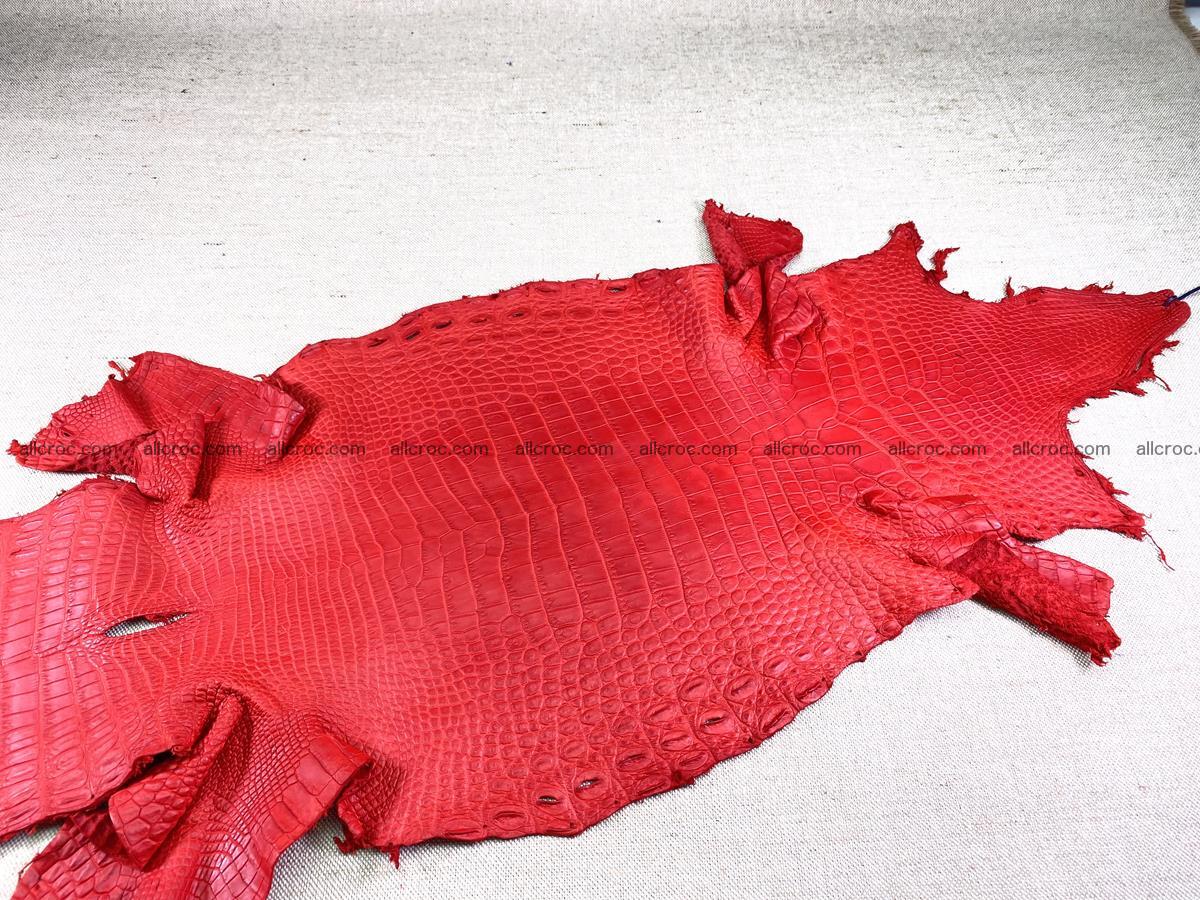 Crocodile skin belly part 30cm red ferrari color 1455 Foto 4