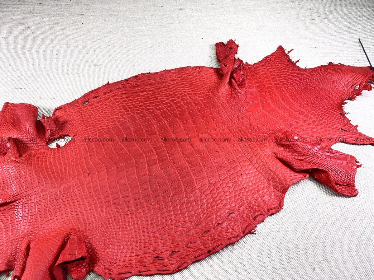 Crocodile skin belly part 33cm red ferrari color 1457 Foto 1