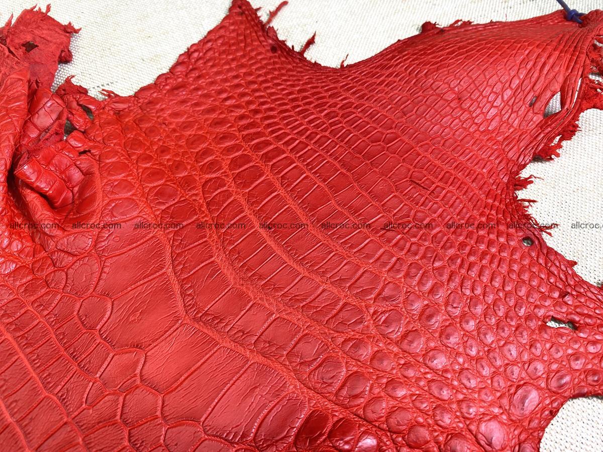 Crocodile skin belly part 33cm red ferrari color 1457 Foto 2