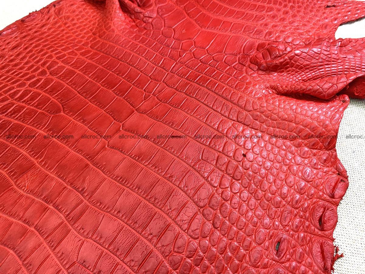Crocodile skin belly part 33cm red ferrari color 1457 Foto 4