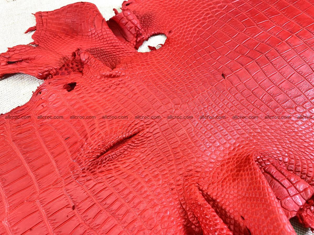 Crocodile skin belly part 33cm red ferrari color 1457 Foto 7