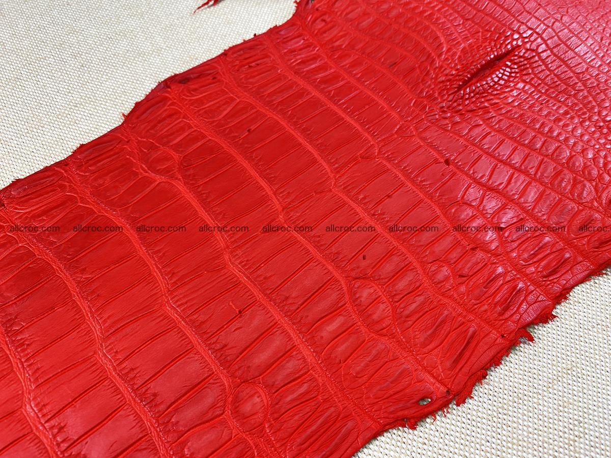 Crocodile skin belly part 33cm red ferrari color 1457 Foto 6