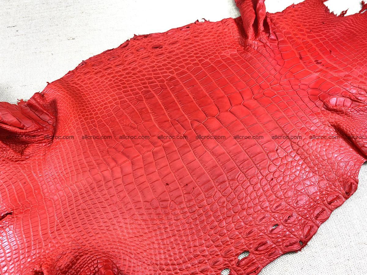 Crocodile skin belly part 34cm red ferrari color 1458 Foto 3