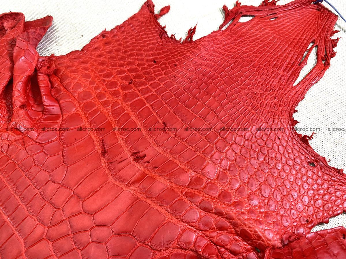 Crocodile skin belly part 34cm red ferrari color 1458 Foto 2