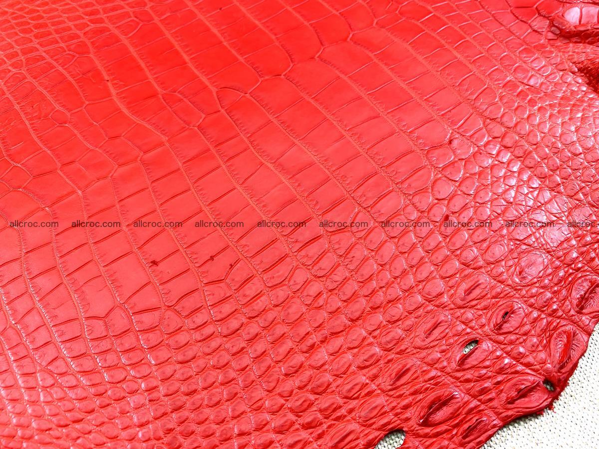 Crocodile skin belly part 34cm red ferrari color 1458 Foto 4
