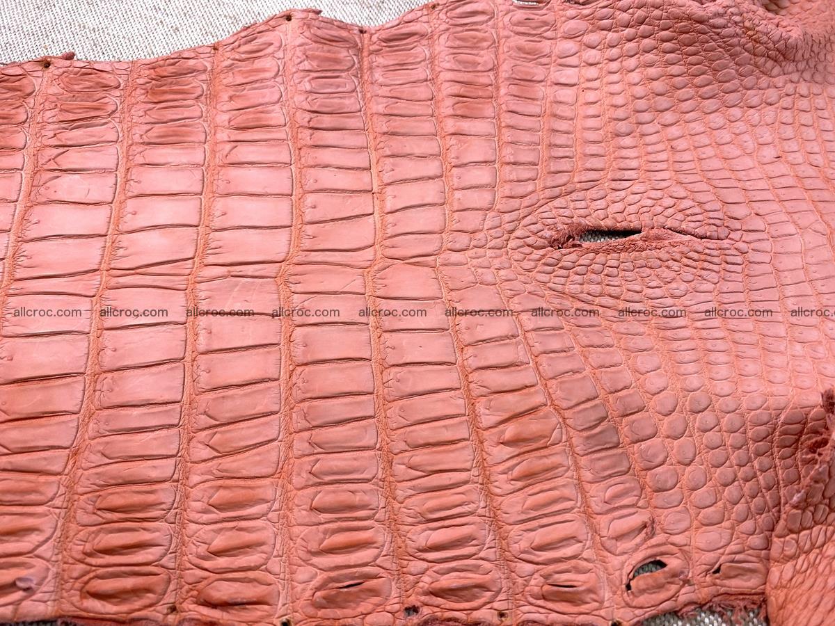 Crocodile skin belly part 32cm salmon color 1471 Foto 9