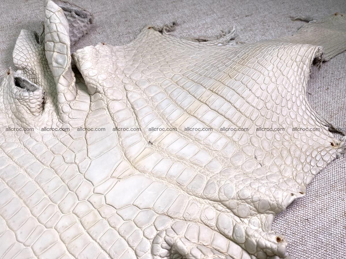 Crocodile skin belly part 31cm sandy cream color 1466 Foto 2