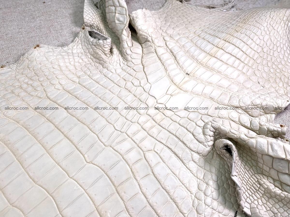 Crocodile skin belly part 31cm sandy cream color 1466 Foto 3