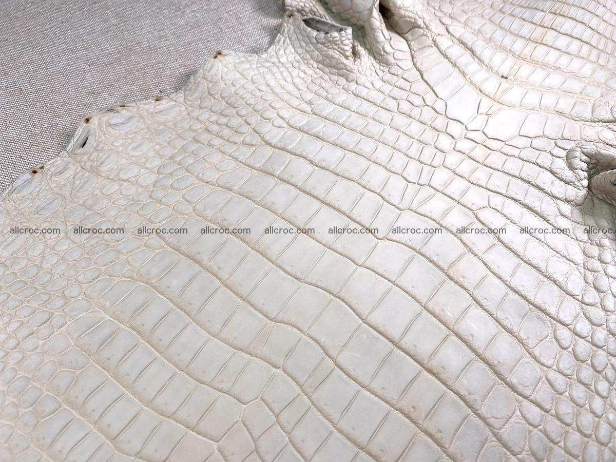 Crocodile skin belly part 31cm sandy cream color 1466 Foto 0