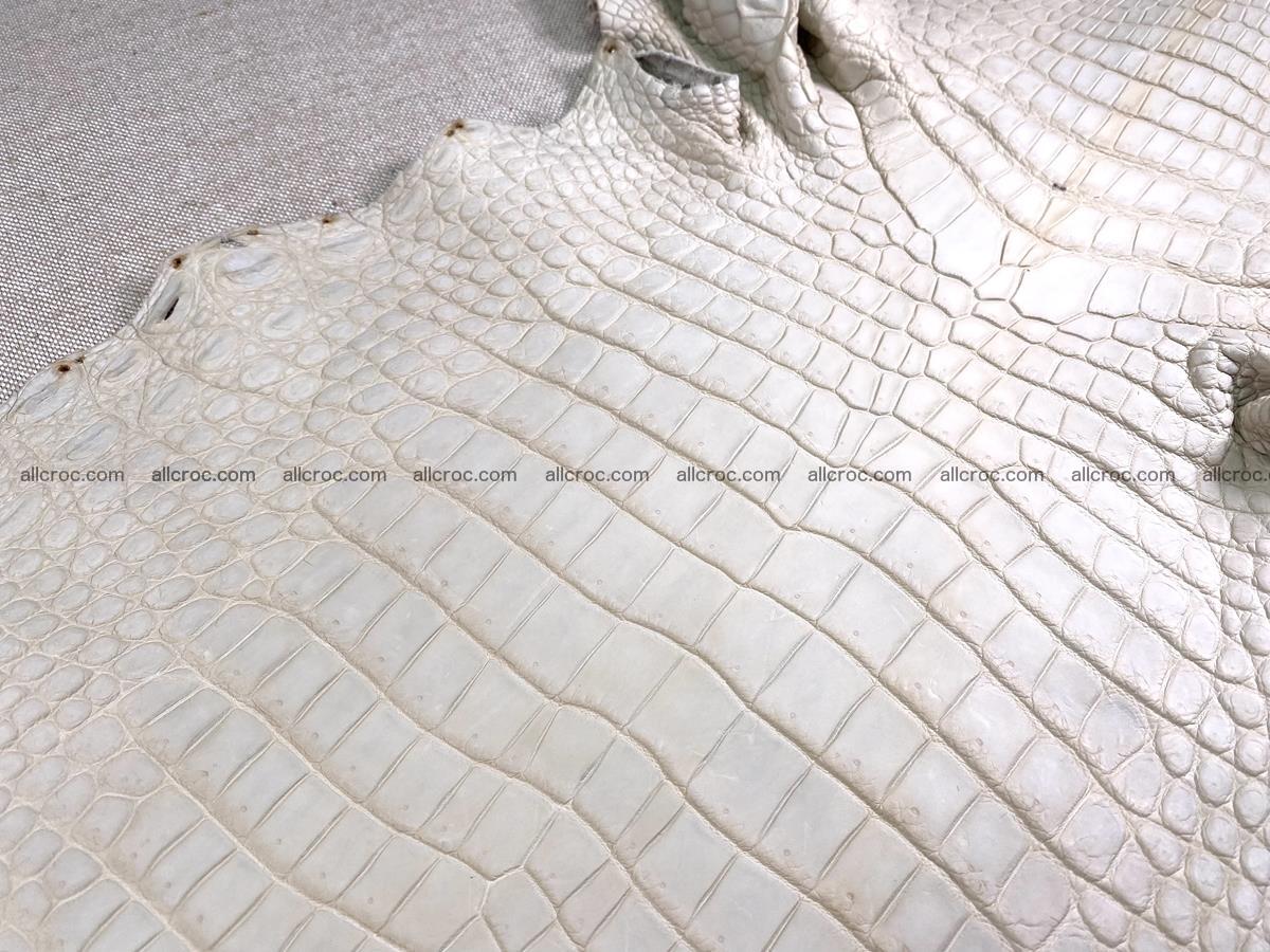 Crocodile skin belly part 31cm sandy cream color 1466 Foto 4