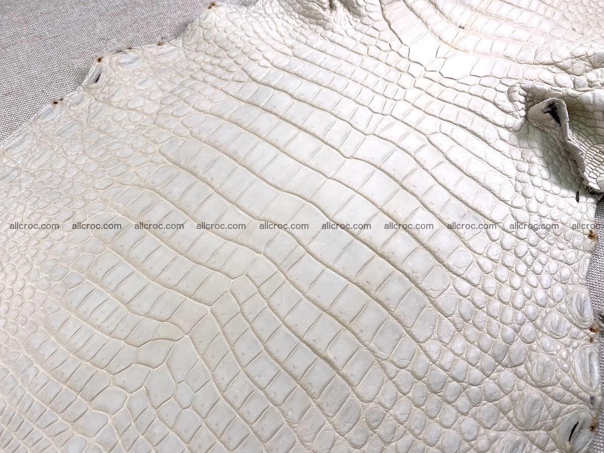Crocodile skin belly part 31cm sandy cream color 1466 Foto 5