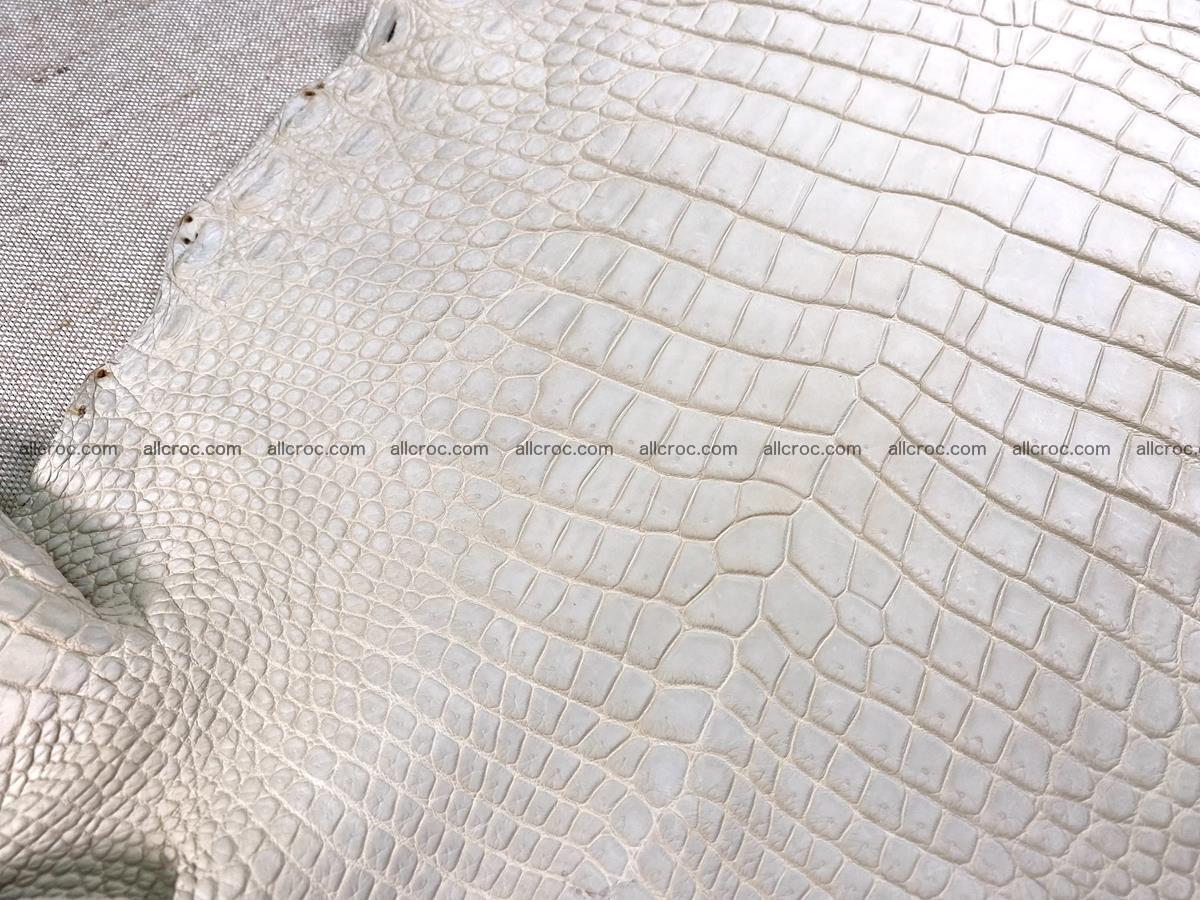 Crocodile skin belly part 31cm sandy cream color 1466 Foto 6