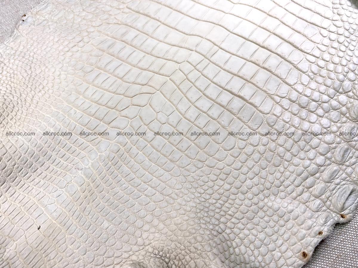 Crocodile skin belly part 31cm sandy cream color 1466 Foto 7