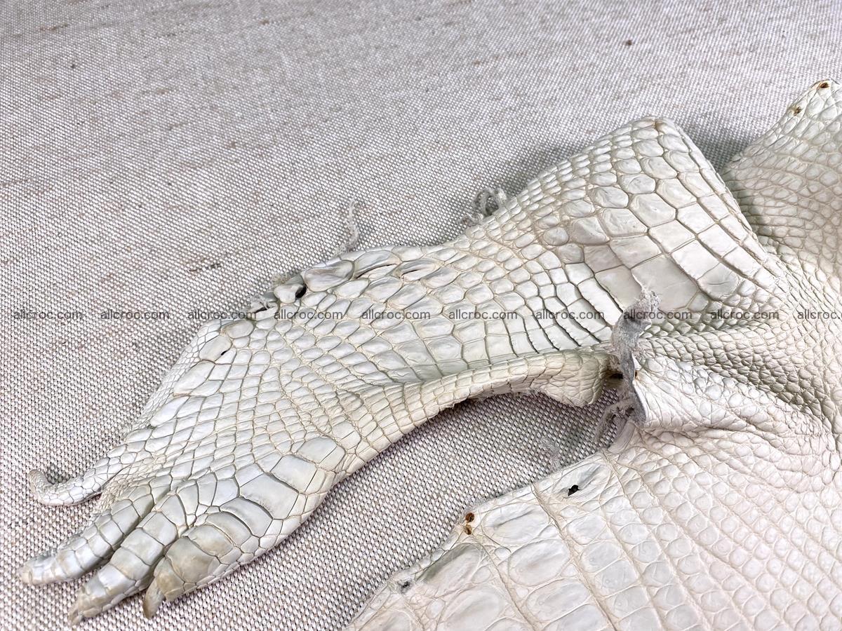 Crocodile skin belly part 31cm sandy cream color 1466 Foto 8