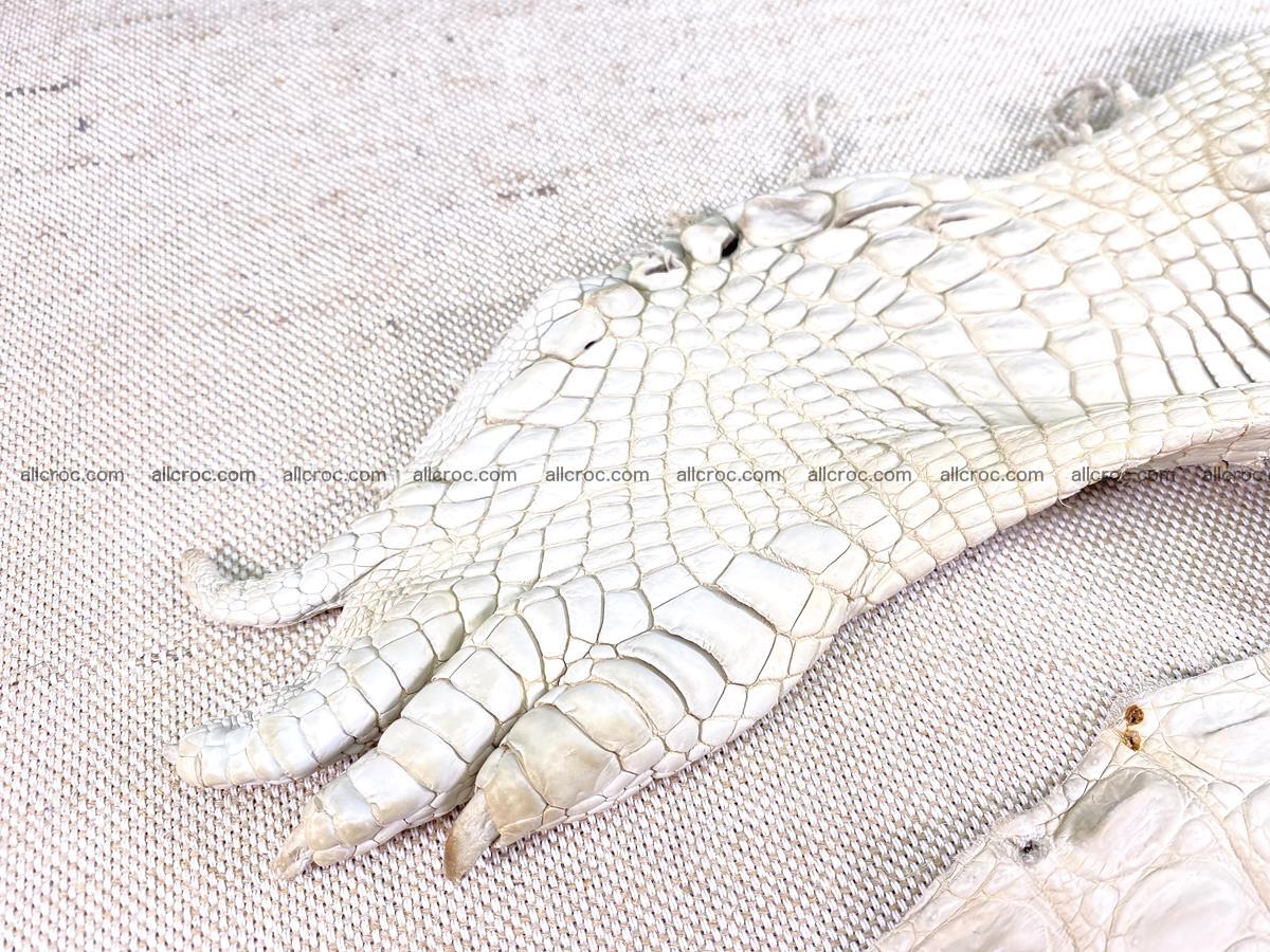 Crocodile skin belly part 31cm sandy cream color 1466 Foto 9