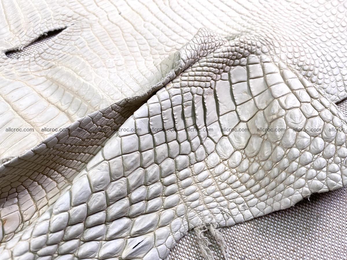 Crocodile skin belly part 31cm sandy cream color 1466 Foto 10