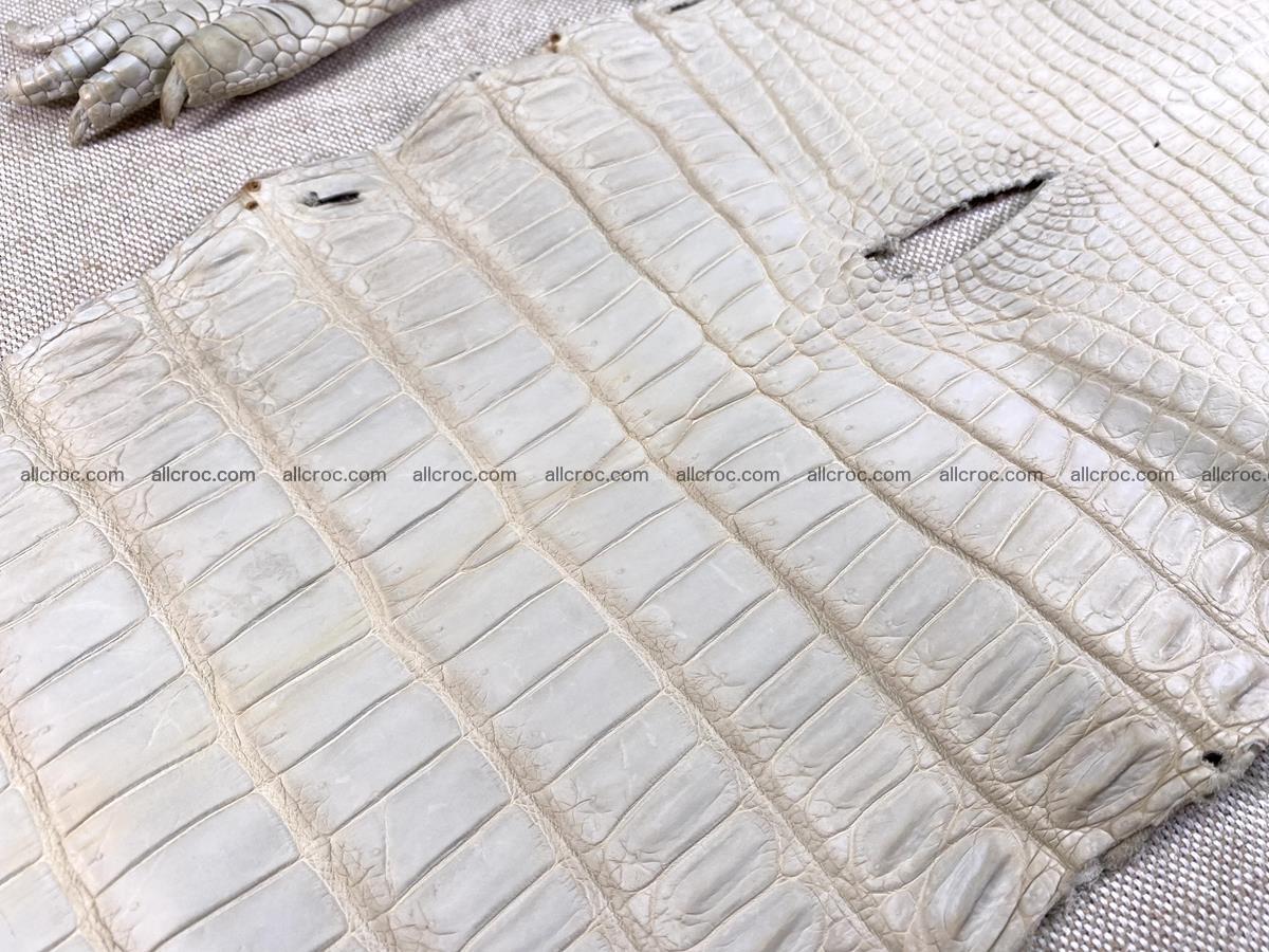 Crocodile skin belly part 31cm sandy cream color 1466 Foto 11