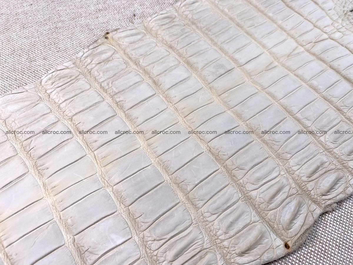 Crocodile skin belly part 31cm sandy cream color 1466 Foto 12