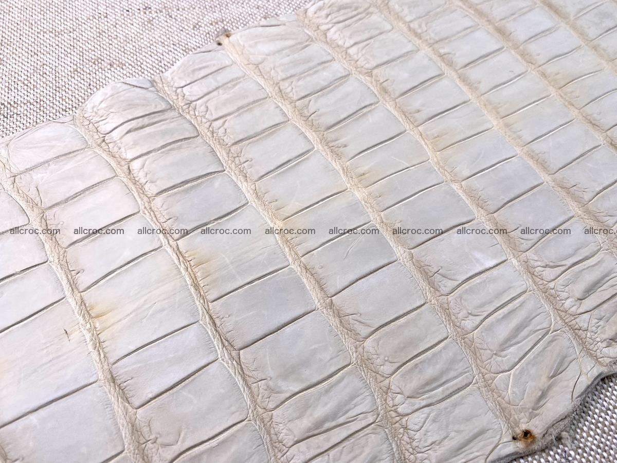 Crocodile skin belly part 31cm sandy cream color 1466 Foto 13