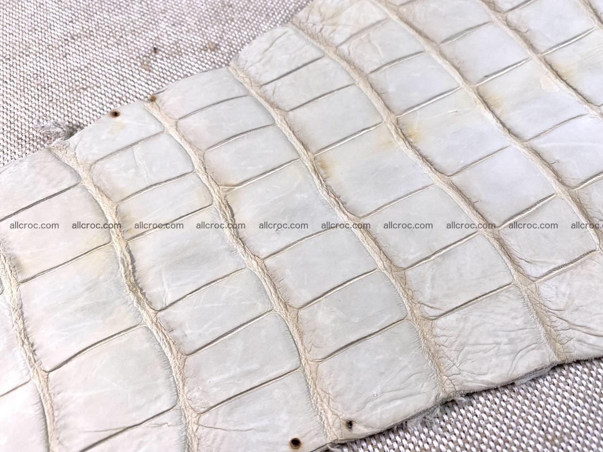 Crocodile skin belly part 31cm sandy cream color 1466 Foto 14
