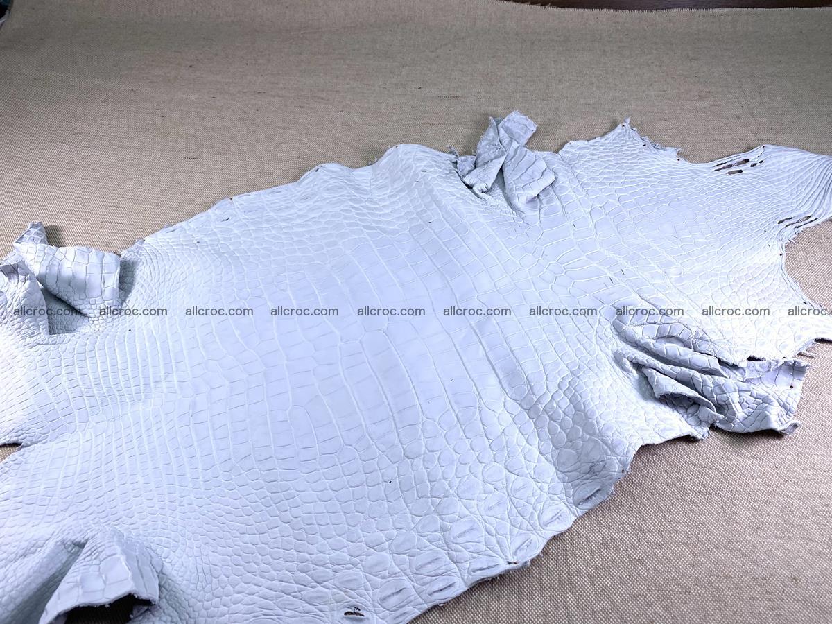 Crocodile skin crust belly part 40cm 1483 Foto 0