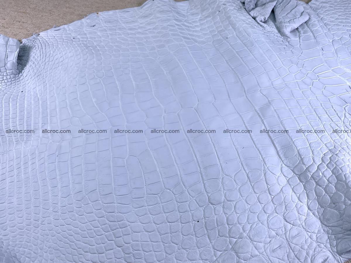 Crocodile skin crust belly part 40cm 1483 Foto 1