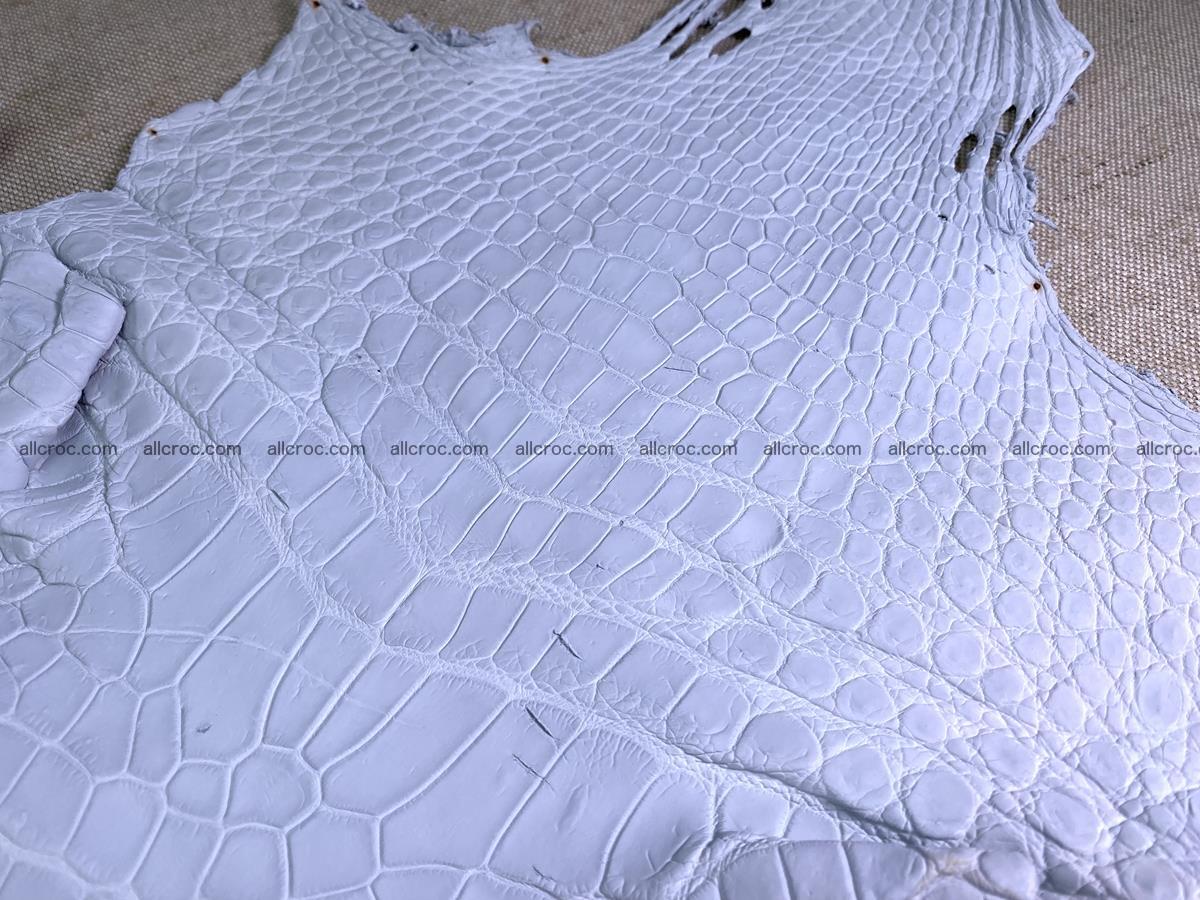 Crocodile skin crust belly part 40cm 1483 Foto 2