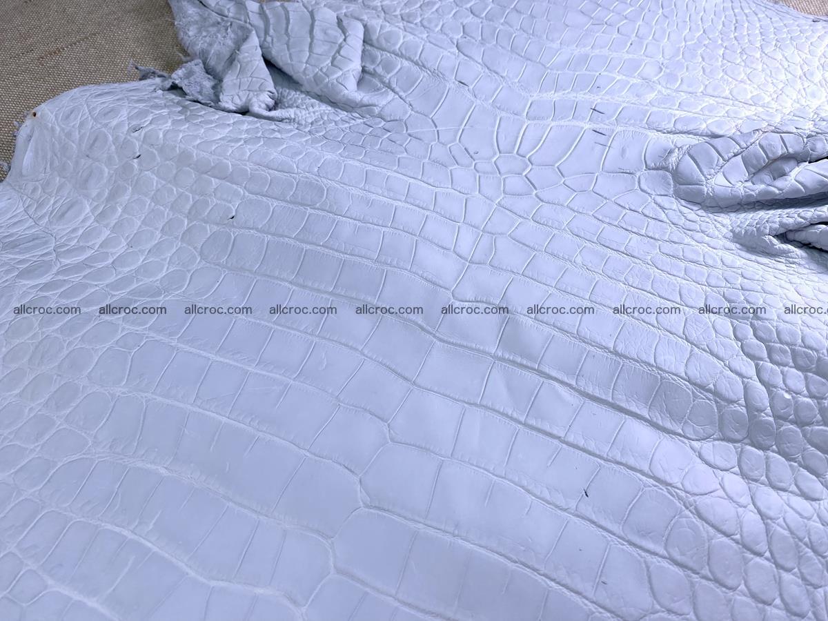 Crocodile skin crust belly part 40cm 1483 Foto 3