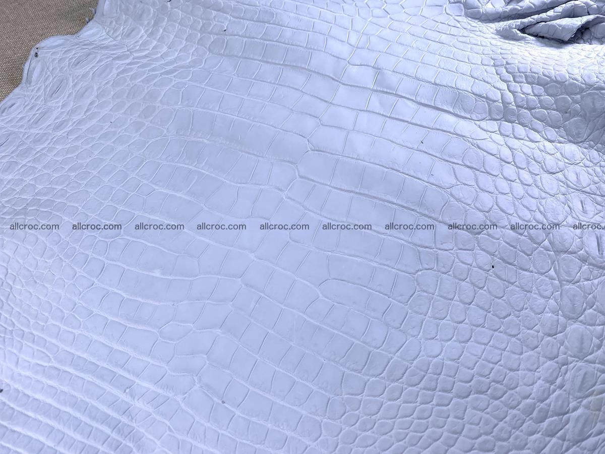 Crocodile skin crust belly part 40cm 1483 Foto 6