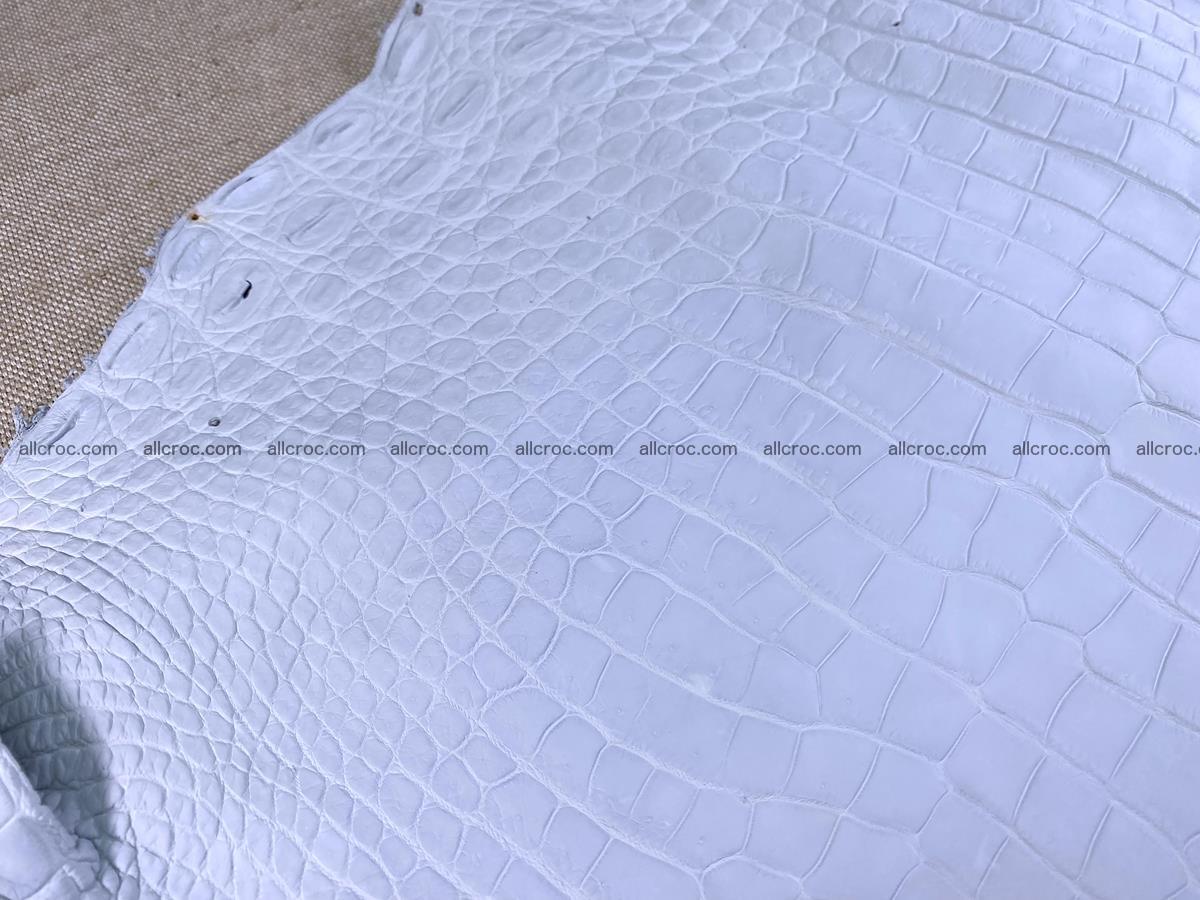 Crocodile skin crust belly part 40cm 1483 Foto 7