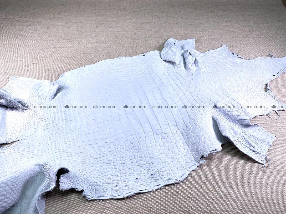 Crocodile skin crust belly part 36cm 1485 Foto 0