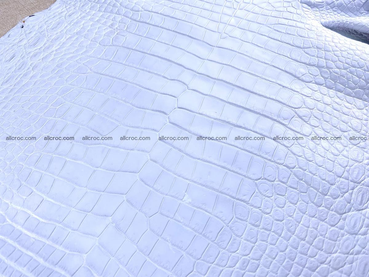 Crocodile skin crust belly part 36cm 1485 Foto 5