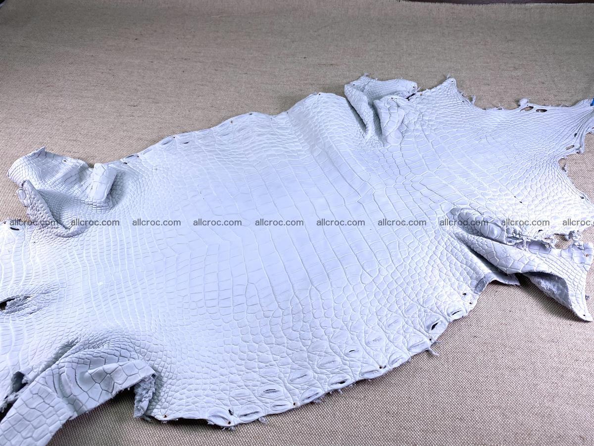 Crocodile skin crust belly part 36cm 1486 Foto 0